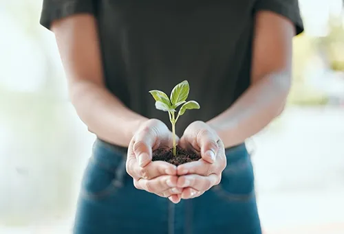 A women holding a pile of dirt in her hands with a plant growing out of the dirt.