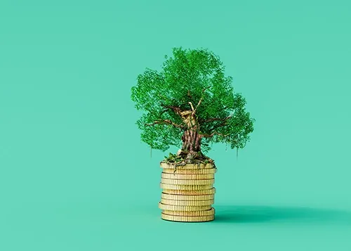 A tree growing on top of a stack of gold coins, symbolizing both financial growth and sustainability that pawn shops offer.